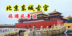 欧美日韩骚奶子中国北京-东城古宫旅游风景区